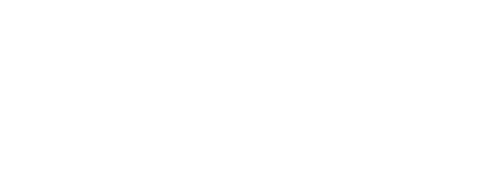 imagen de red en blanco