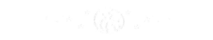 Separador de web de desarrollo web